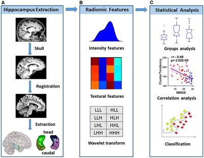 Radiomic Features of Hippocampal Subregions in Alzheimer’s Disease and Amnestic Mild Cognitive Impairment